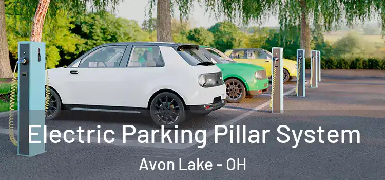Electric Parking Pillar System Avon Lake - OH