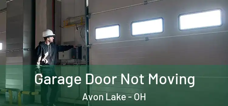  Garage Door Not Moving Avon Lake - OH