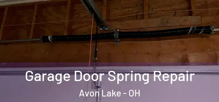  Garage Door Spring Repair Avon Lake - OH