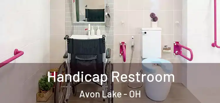 Handicap Restroom Avon Lake - OH