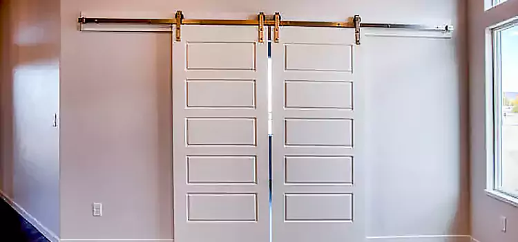 Glass Barn Door with Installation Hardware Kit Avon Lake