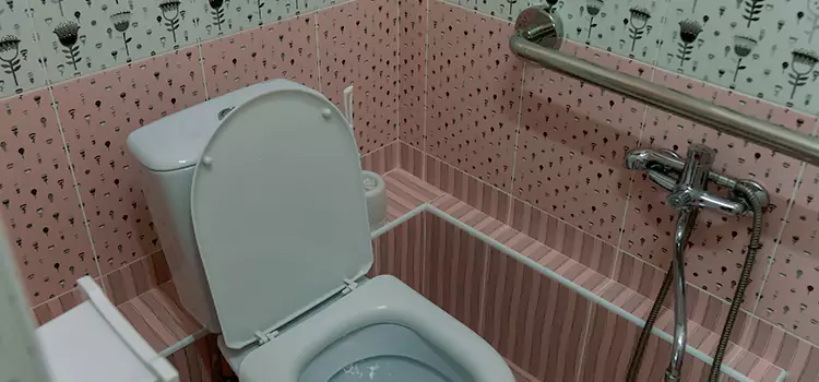 Meeting Diverse Needs With Accessible Restroom Solutions in Avon Lake, OH