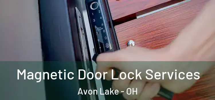 Magnetic Door Lock Services Avon Lake - OH