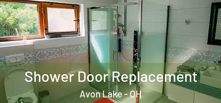 Shower Door Replacement Avon Lake - OH