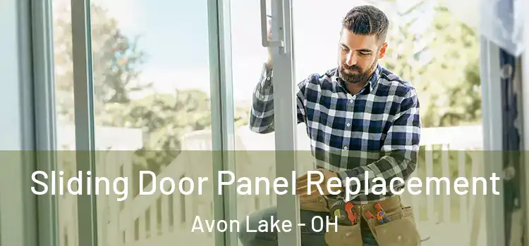  Sliding Door Panel Replacement Avon Lake - OH