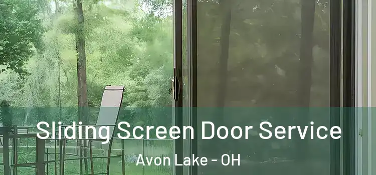 Sliding Screen Door Service Avon Lake - OH